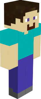 Clean Steve