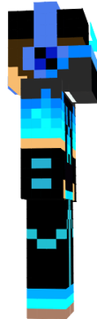 skin