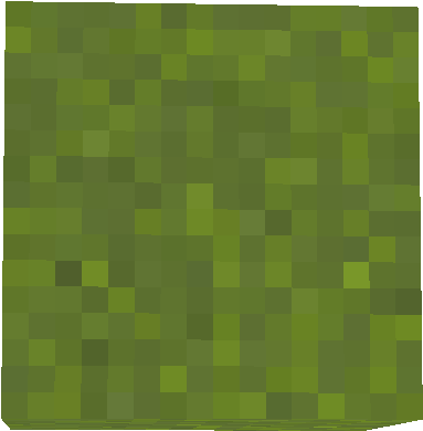 Preview of texture: grass_block
