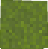 grass_block