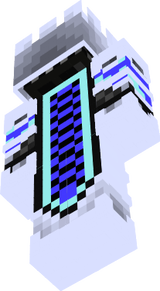 skin1111