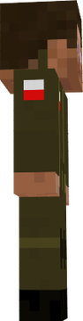 poland military