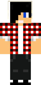 Preview of texture: luigi174
