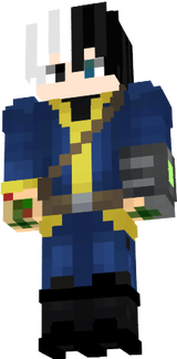 Fallout Skin x
