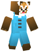 skin_v3
