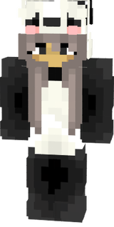 skin de minecraft