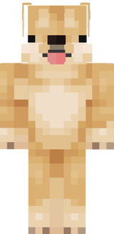 doge