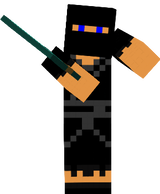 New Ninja
