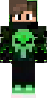 skin