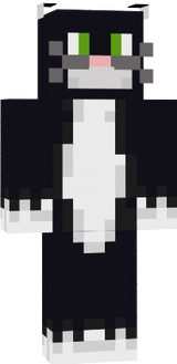 Gato