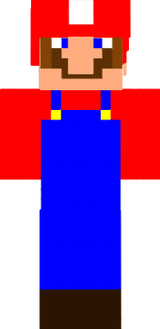 NovakP