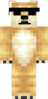 doge maneiro