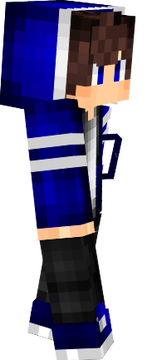 l1