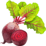 beet root