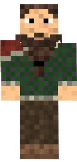 Villads Viking Village skin