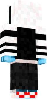 1 Skinberbessert