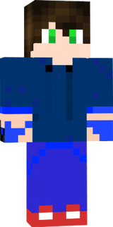 JSONIC THE HEGHOG