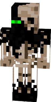 Preview of texture: skinge