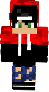 SDC Gamer skin