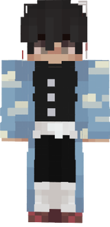 duzin_tl1