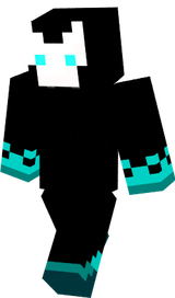 void v2
