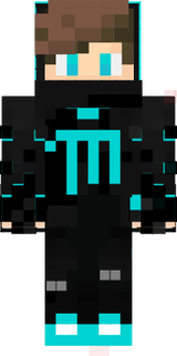 TheMisterFox