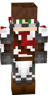Sir Donnie the Templar crusader