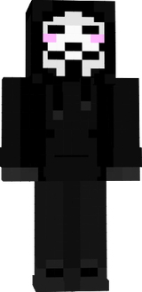 Project Zorgo (slim)