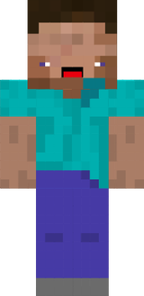 stupid steve