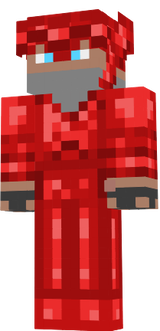 my skin with a paladium armor