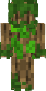 oak2