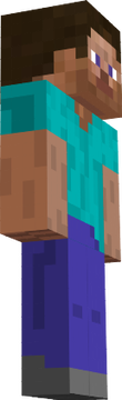 steve