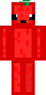 1313131313