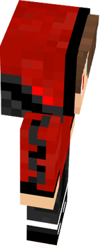 BirdXD 32bit