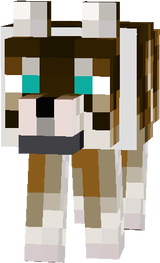 Tamed light brown wolf