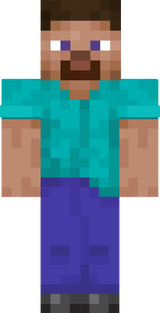 STEVE 111