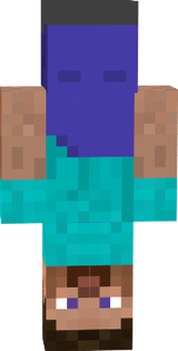 upside down steve