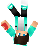 wd 