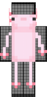 Skin 1