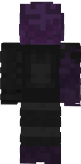 Netsura2