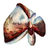 grenn_dye