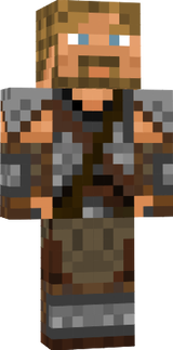 viking skin