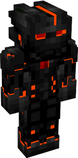 1 skin
