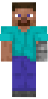 Steve