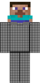 steve