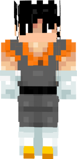 Base Vogito