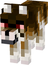 Angry light brown wolf