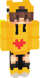best ski ecver