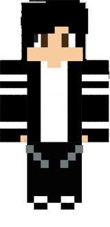 skin de minecraft