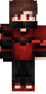 12312121